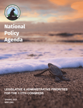117th Congress National Policy Agenda Cover