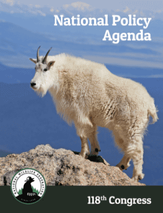 118th Congress National Policy Agenda Cover