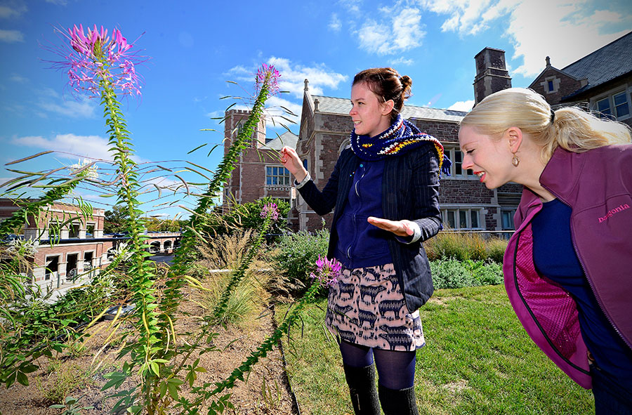 Campus Garden, James Byard / WUSTL Photos