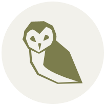 Owl icon