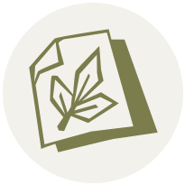 Leaf rubbing icon