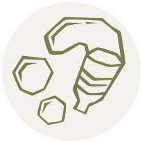 Bubbles icon