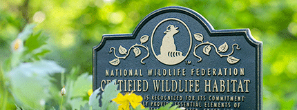 Lawn plaque for a Certified Wildlife Habitat by the National Wildlife Federation installed in a shade garden.