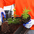 Action for Wildlife and Native Plants