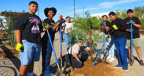 Gardeners holding shovels and spades, getting ready to plant trees.