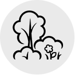 Dense plantings for wildlife habitat