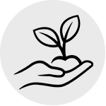 Sustainable gardening for wildlife habitat