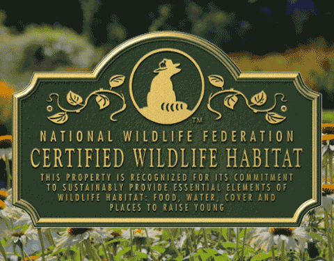 A closeup of the Certified Wildlife Habitat lawn plaque from the National Wildlife Federation set in front of a garden filled with white coneflowers and other wildflowers.