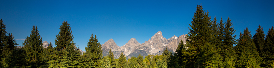 Schwabachers Landing