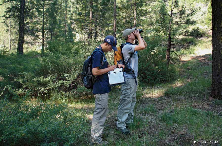 Researchers in the Field