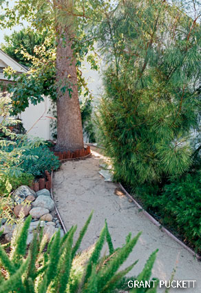 A garden path in a Certified Wildlife Habitat