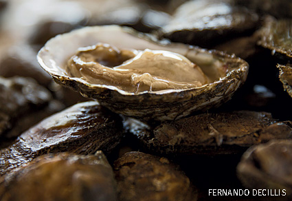 Oyster on half shell