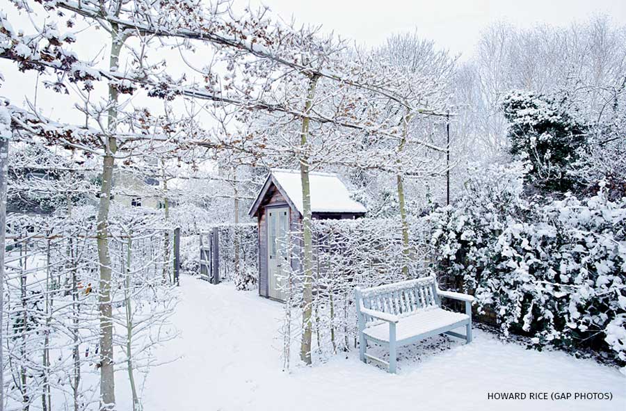 An image of a formal town garden in the snow.