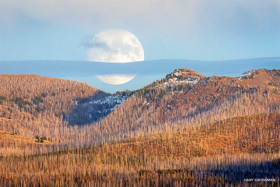 An image of a harvest moon.