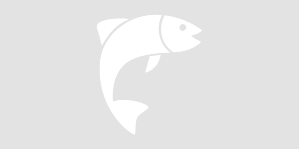 Fish Placeholder Image (no image available)